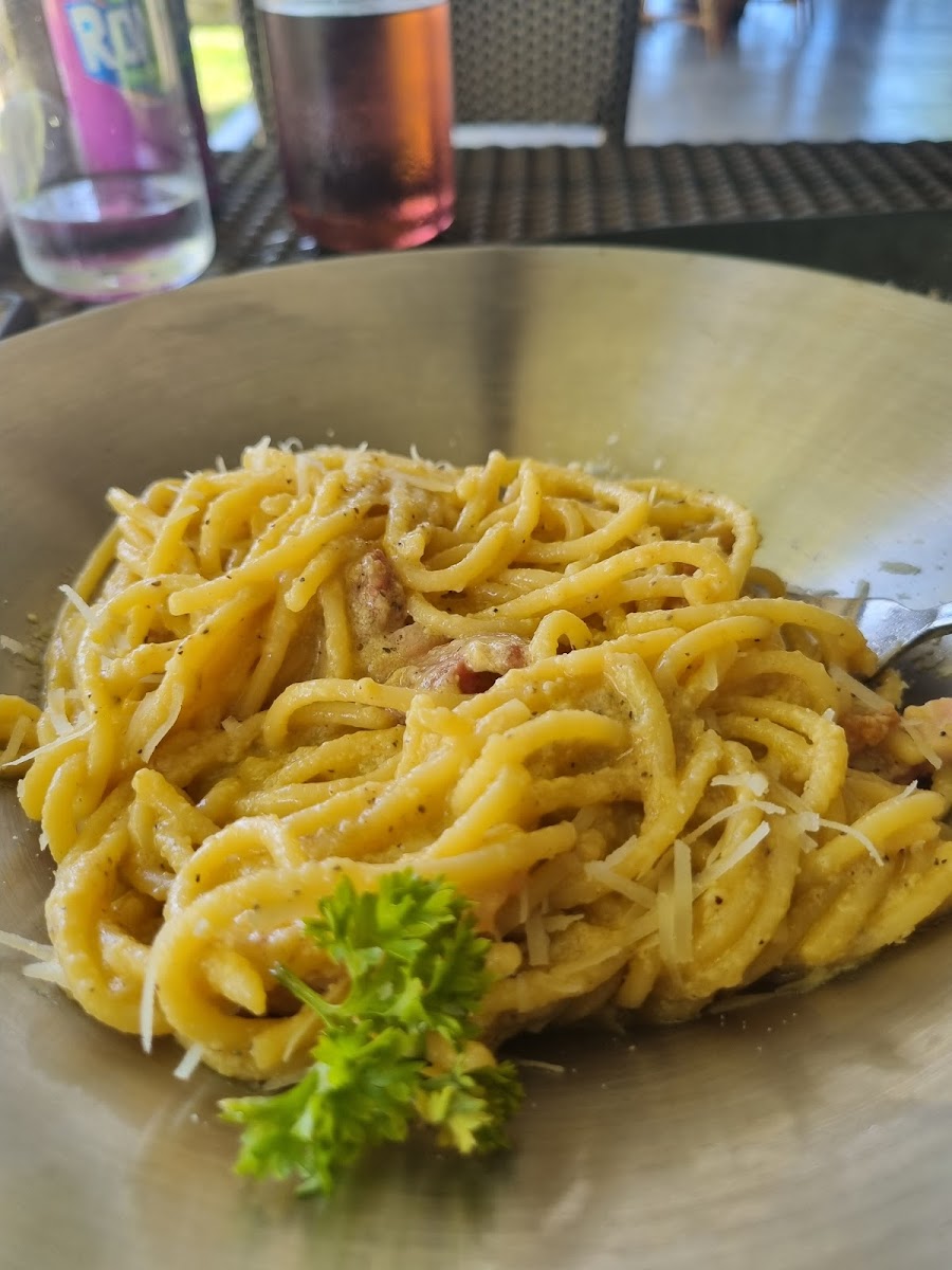 Steakhouse Casanta Secret Garden And Italian Restaurant-9